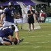 Steven Field Photo 12