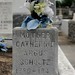 Catherine Schultz Photo 12