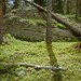Cameron Meadows Photo 23