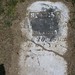 Sally Johnson Photo 19