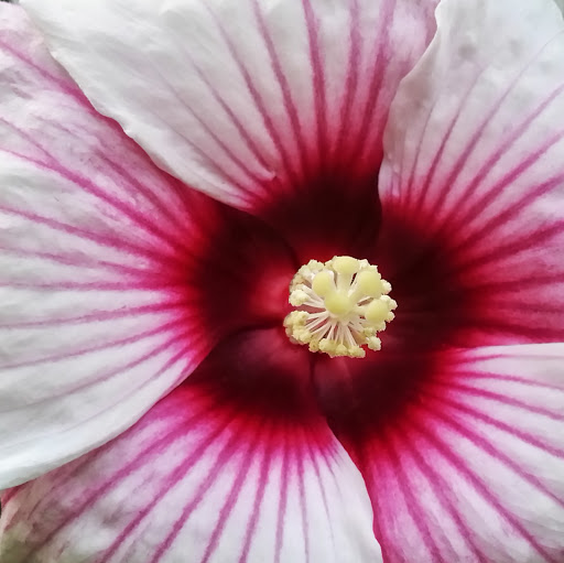 Amy Olsen Photo 28