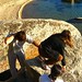 Richard Woltmann Photo 12