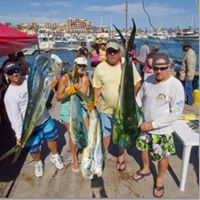 Steve Calvert Photo 11