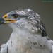 Christine Burrows Photo 10