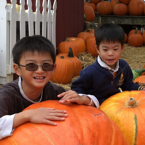 Zhao Liu Photo 33