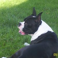 William Dunlap Photo 19