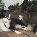 Lori Kaiser Photo 38