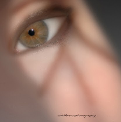 Vicki Ferrari Photo 8