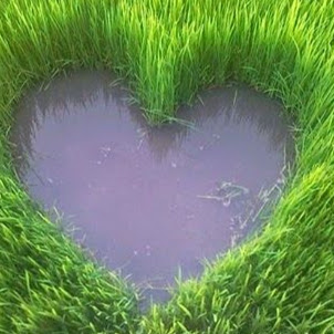 Quang Tu Photo 18