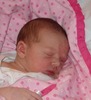 Michele Lee Photo 17