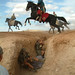 Alexander Crews Photo 7