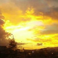 Stephen Bolin Photo 10