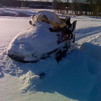 Josh Melcher Photo 13