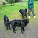 Arleen Wilson Photo 11