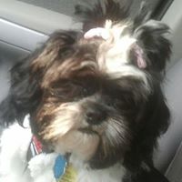 Elizabeth Potts Photo 15