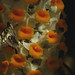 Susan Jaggers Photo 24