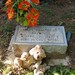 Elizabeth Downing Photo 36