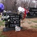 James Cagle Photo 16