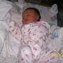 Elizabeth Koenig Photo 34