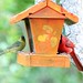 Debra Bunting Photo 8