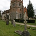 Mary Jenkins Photo 8
