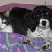 Susan Krause Photo 44