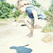 Joseph Calvert Photo 8