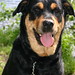 Wilma Summers Photo 10