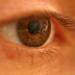 Deborah Lash Photo 6