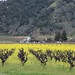 Debra Stark Photo 15