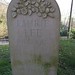 Laurie Lee Photo 37
