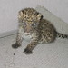 Gail Howell Photo 41