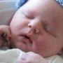 Nancy Andrews Photo 17