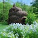Patrick Morris Photo 66