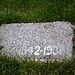 Mary Demars Photo 21
