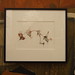 Paul Shore Photo 16