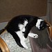 Patricia Poole Photo 26