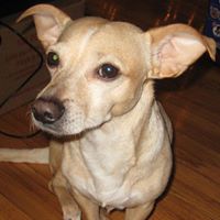 Dorothy Carter Photo 18