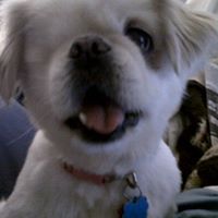 Elizabeth Applegate Photo 9