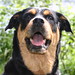Wilma Summers Photo 13
