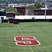 Steven Field Photo 10