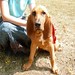 Sally Ham Photo 11