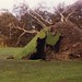 Gale Poole Photo 8