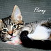 Florencia Blanco Photo 8