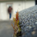Michael Moss Photo 26