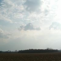 Paul Hendrickson Photo 17