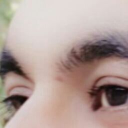 Sayed Sadat Photo 26