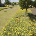 Tony Pollock Photo 28