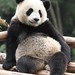 Yuan Lin Photo 33
