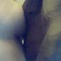 Jean Austin Photo 12